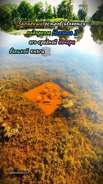 прогулка по #Петергоф #колонистский_парк ☝️ сюда редко заглядывают туристы. #санктпетербург #eremeic