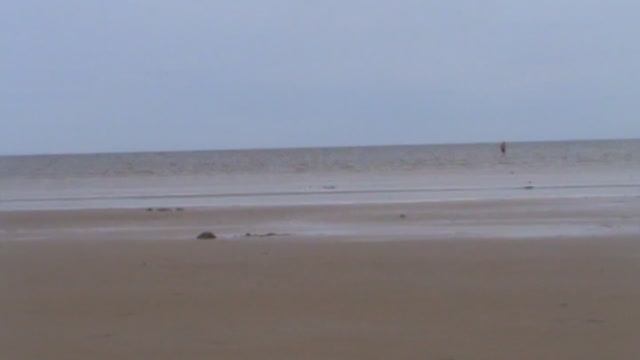 vatravel.ru Озеро Ильмень у д.Курецко (Новгородская обл)