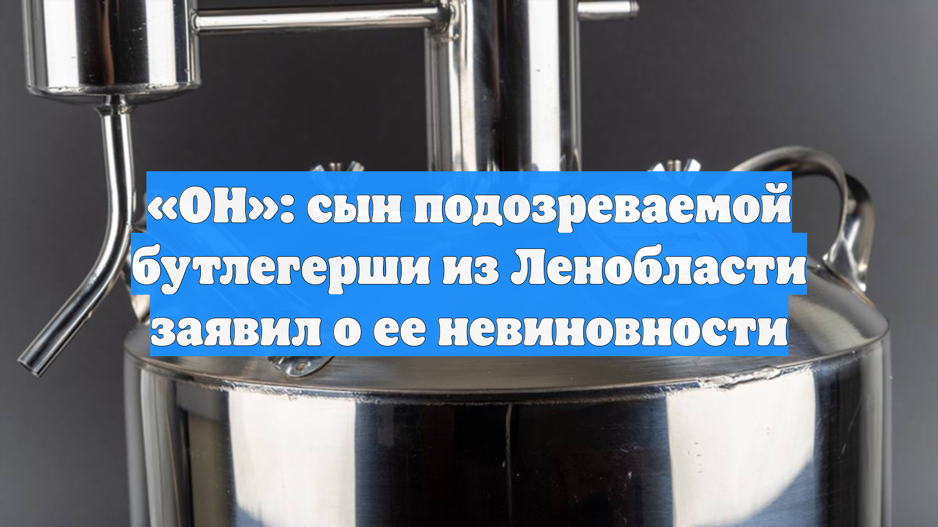 ОН: сын подозреваемой бутлегерши из Ленобласти заявил о ее невиновности