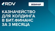 Казначейство для холдинга в БИТ.Финанс за 3 месяца