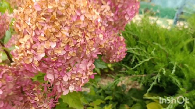 Сельские будни матушки.Пока все банки крутят Я ГУЛЯЮ 🤣Заготовки для студентки 👍