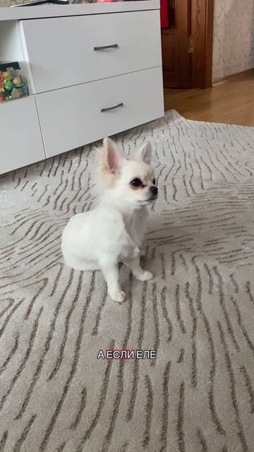 Малышка Айра 🥰