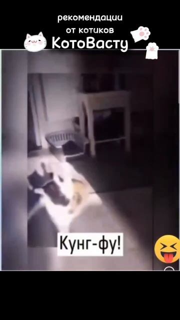 Кровать по Васту