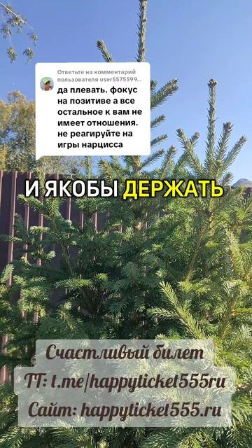 Возможно ли не реагировать на игры Нарцисса и жить с ним 