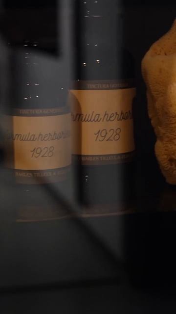 Video by novacucina [3]