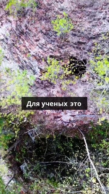 Шушмар  это урочище в глубине подмосковной Мещеры. Леса болота и озера к северу от Шатуры в сторо