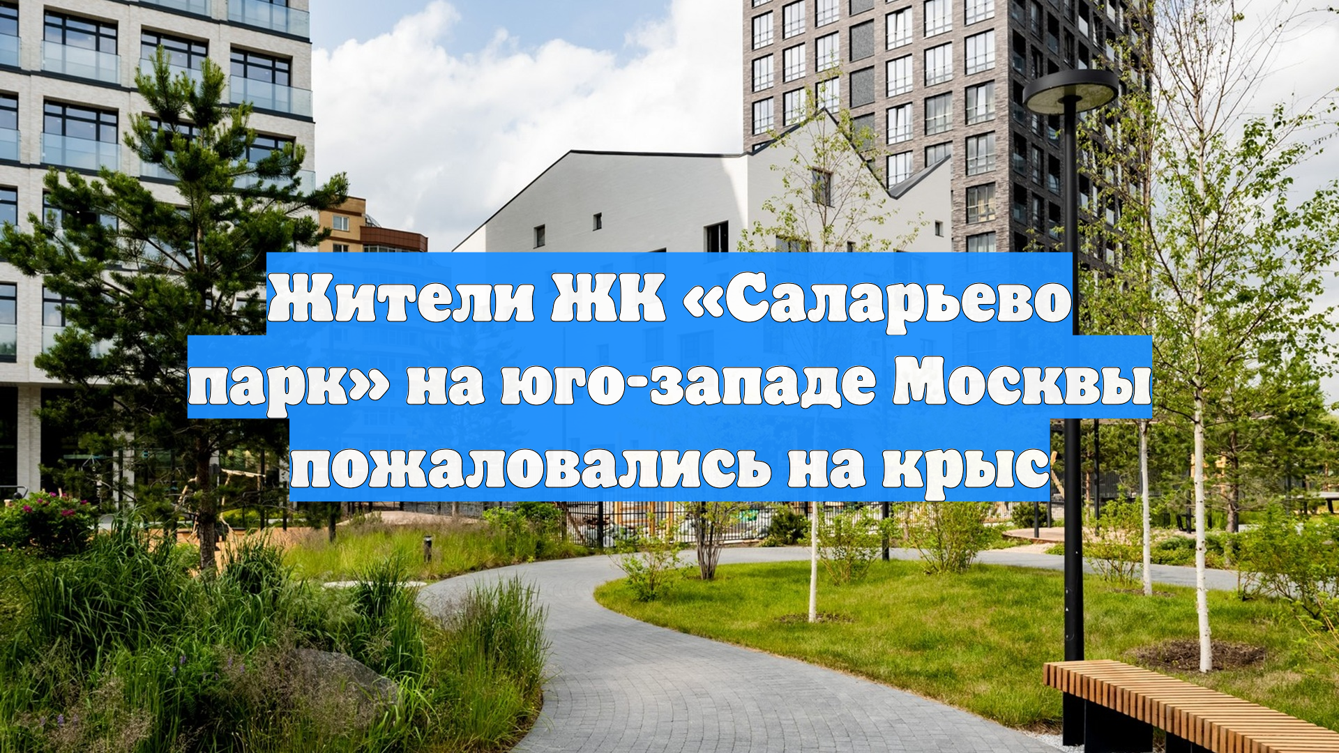 Жители ЖК Саларьево парк на юго-западе Москвы пожаловались на крыс