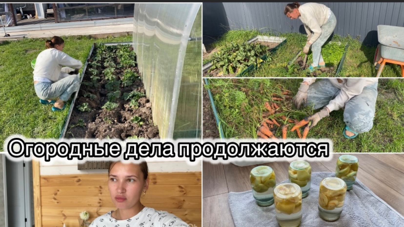 ПОСАДИЛА ЧЕСНОК// УРОЖАЙ МОРКОВИ// ЗАКАТАЛА ЯБЛОЧНЫЕ КОМПОТЫ🔥