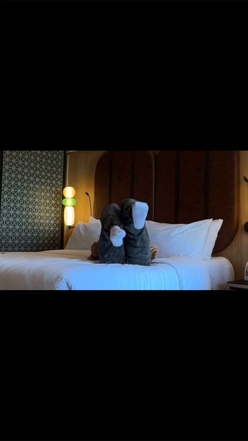 на Рутуб вышел мой первый VLog😍