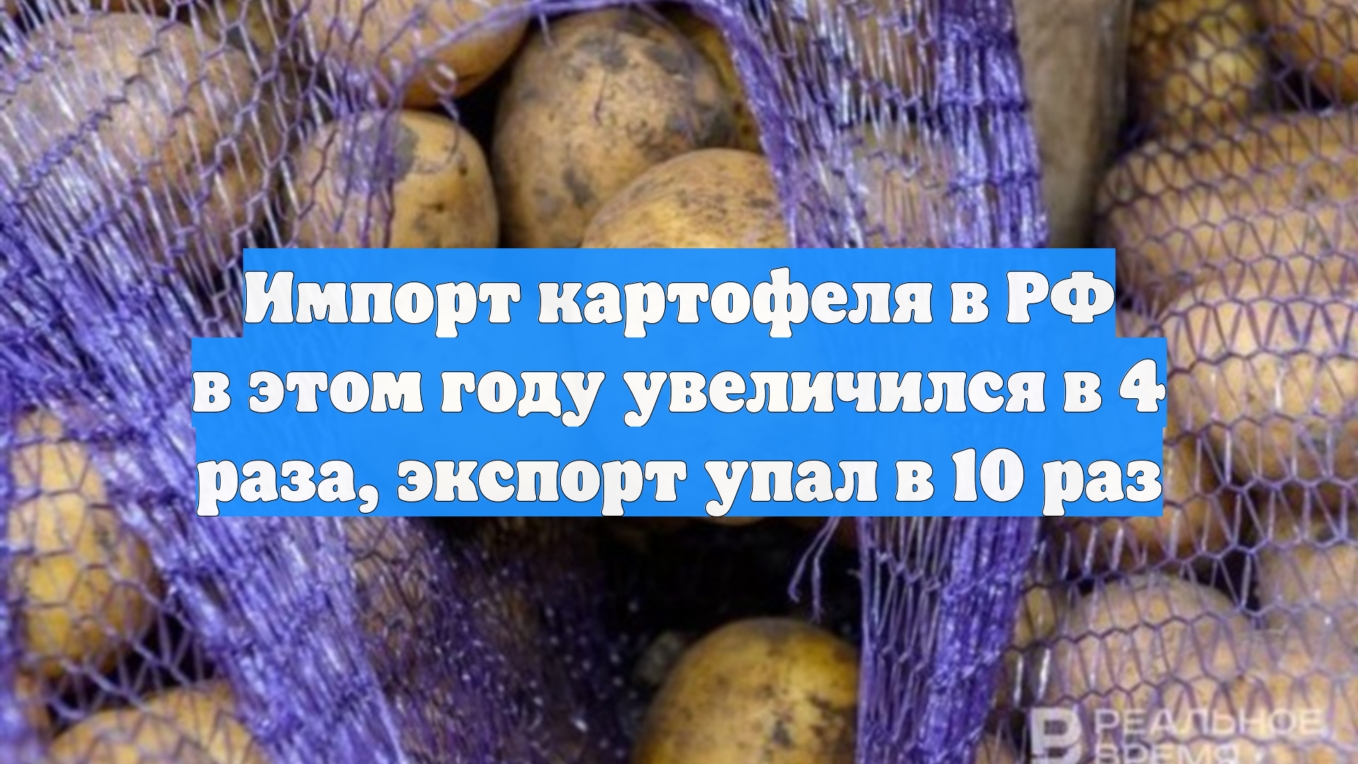 Импорт картофеля в РФ в этом году увеличился в 4 раза экспорт упал в 10 раз