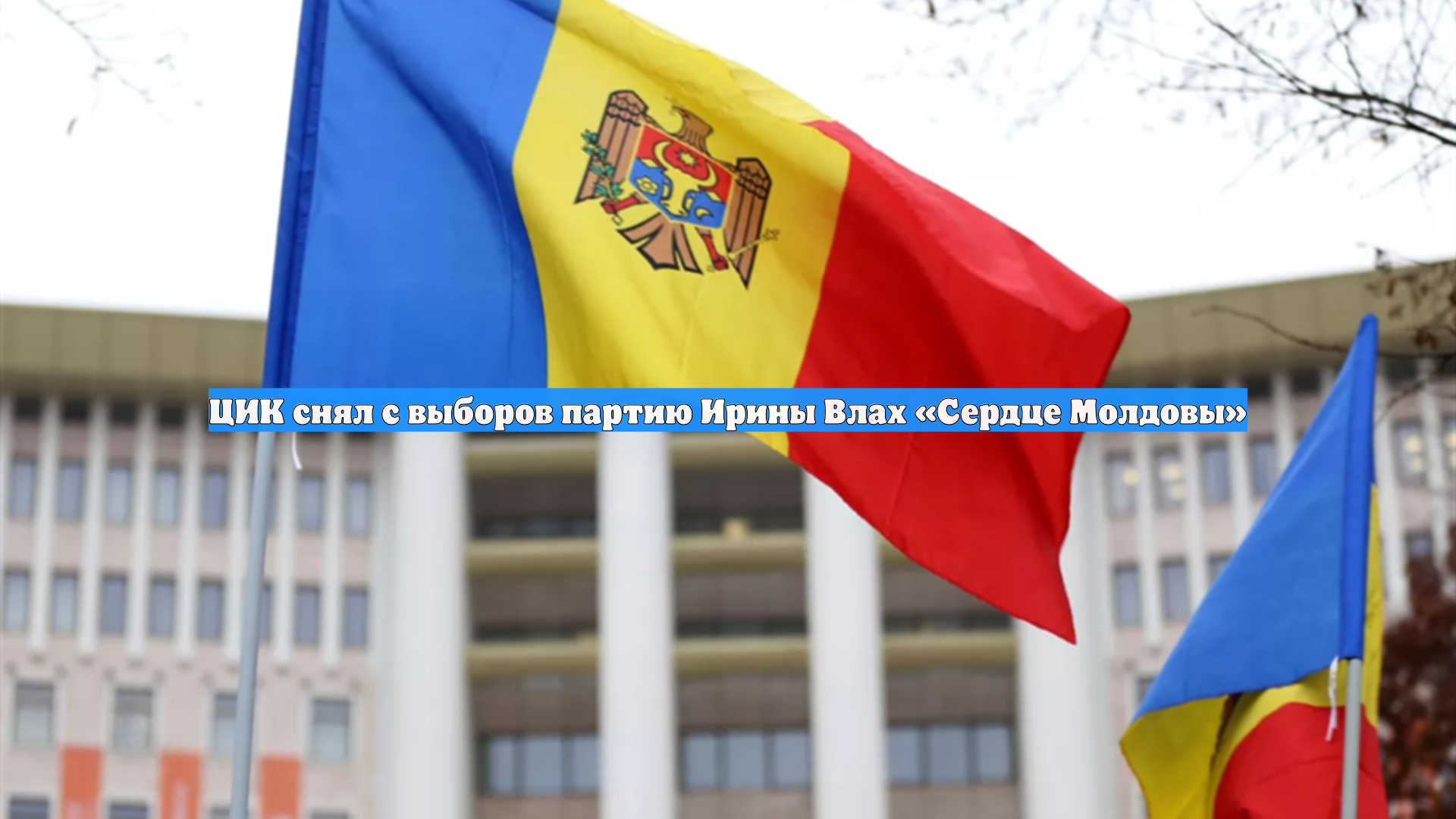 ЦИК снял с выборов партию Ирины Влах Сердце Молдовы