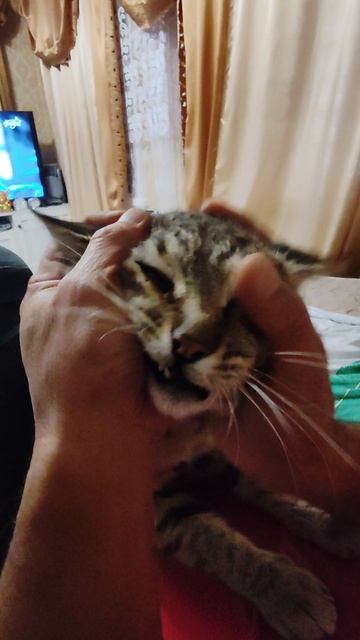 Баксик кайфует