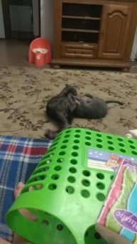 VID-20250924-WA0024.mp4