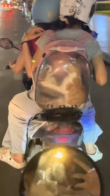 1000082236.mp4