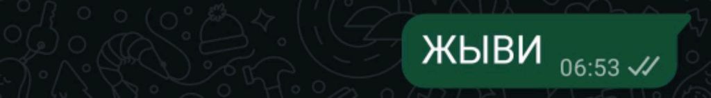 зайди зайка