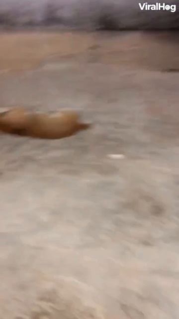 Да замолчи.mp4