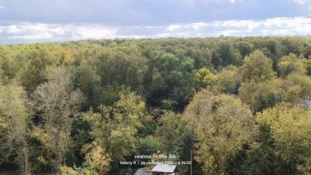 Москва лесопарк Лосиный остров  24.09.2025