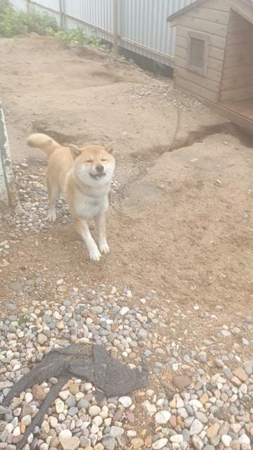 1000007873.mp4