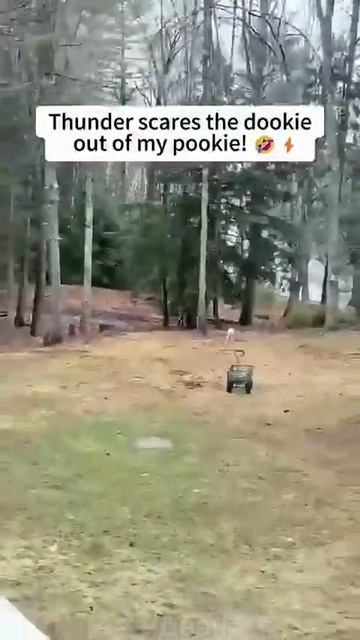 1000048566.mp4
