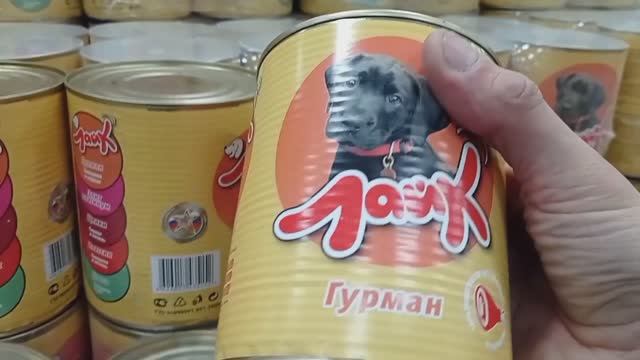 СВЕТОФОРНАШЛИ СЕГОДНЯ ОТЛИЧНЫЕ НЕДОРОГИЕ ТОВАРЫМагазин низких цен выручает! Обзор Сентябрь 2025