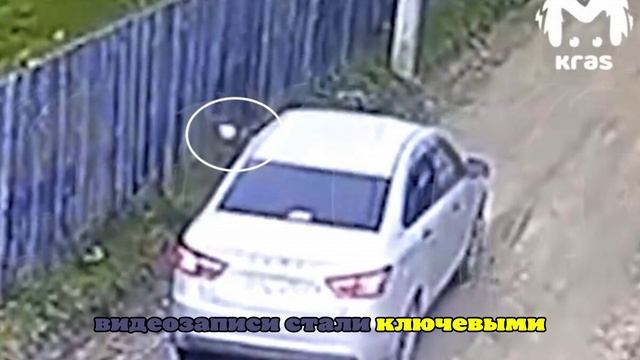 Mash: красноярцы расстреляли из автомобиля дом главы села