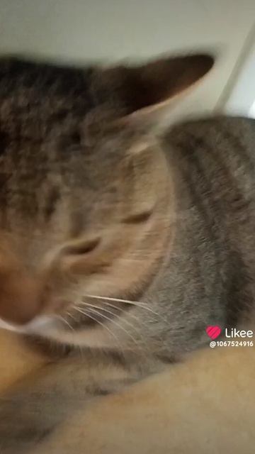 1000000471.mp4