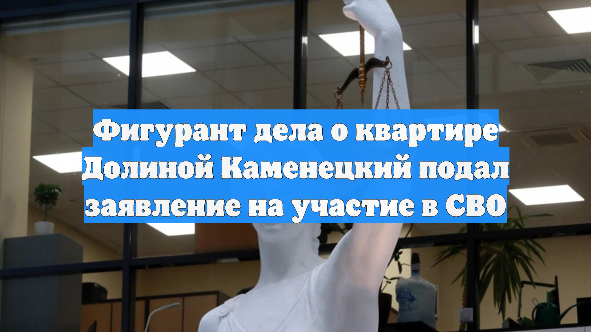 Фигурант дела о квартире Долиной Каменецкий подал заявление на участие в СВО