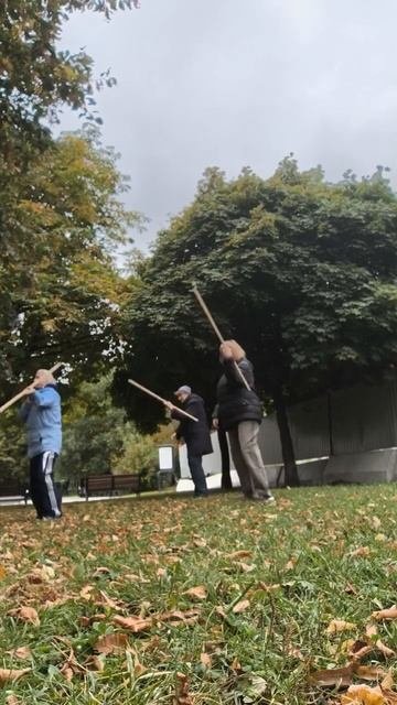 25 сентября 2025 г.