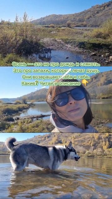 Осень — это не про дождь и слякоть.