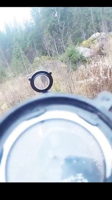 Охота на Лося 🫎🎯