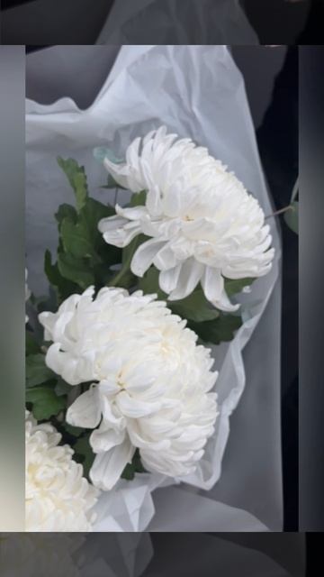 Белая легенда