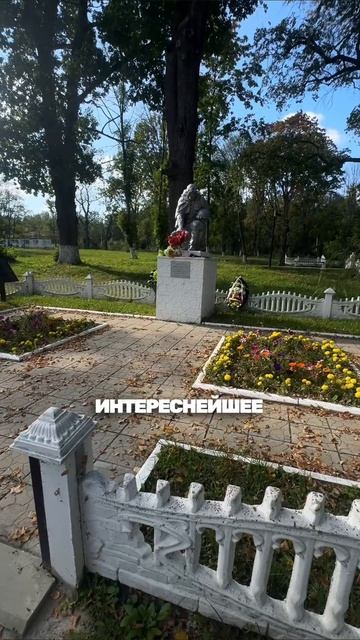 куда отправиться семьей ?