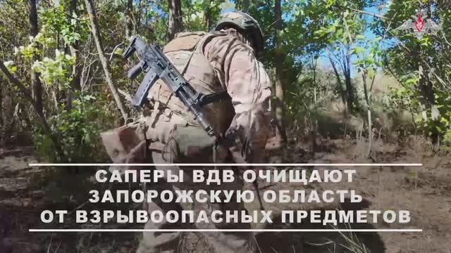 Работа саперов ВДВ в Запорожской области
