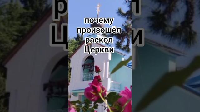 1000101985.mp4