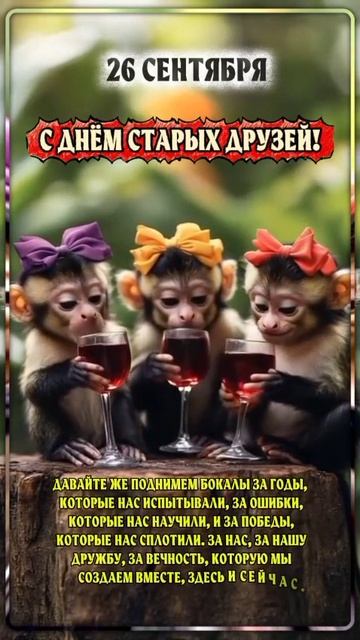 Не бывает выходных