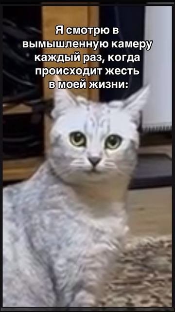 27-09-2025