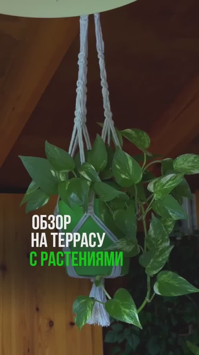 Терраса как на Бали