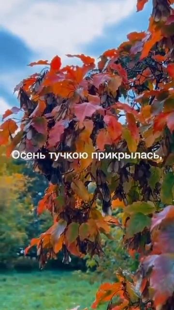 Осень мне наговорила..