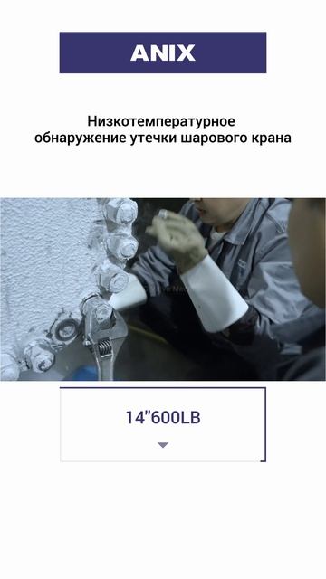 14600LB Низкотемпературное обнаружение утечки шарового крана-ANIX