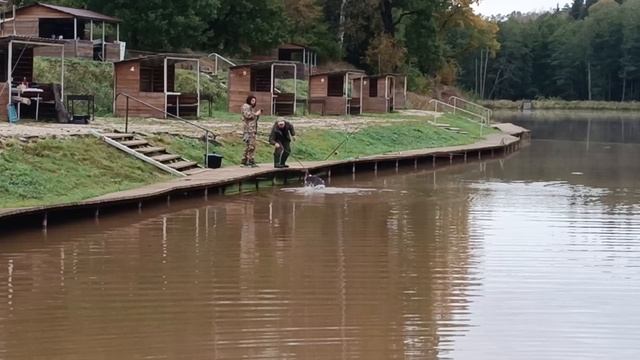 Forest Fishing 27.09.25
