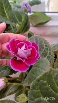 красавица какая посмотрите 😊