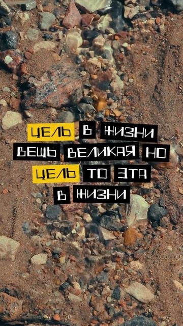  цель в жизни...