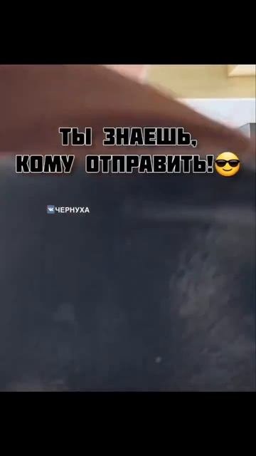 Клип potexclips