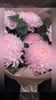 Розовый каприз