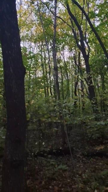 Около природы