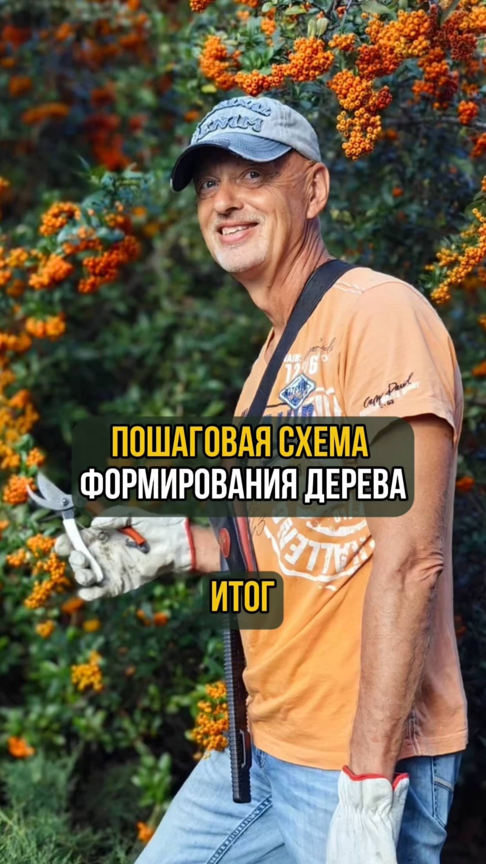 Пошаговая схема формирования дерева. Итог