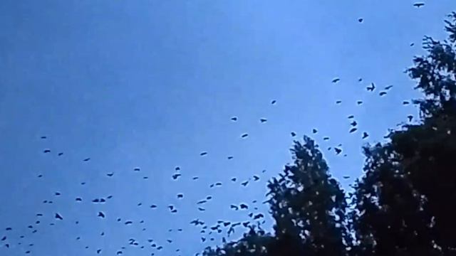 Что ж я  делаю не так, но делаю максимально качественно.