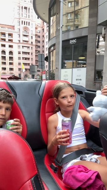 Новая игрушка