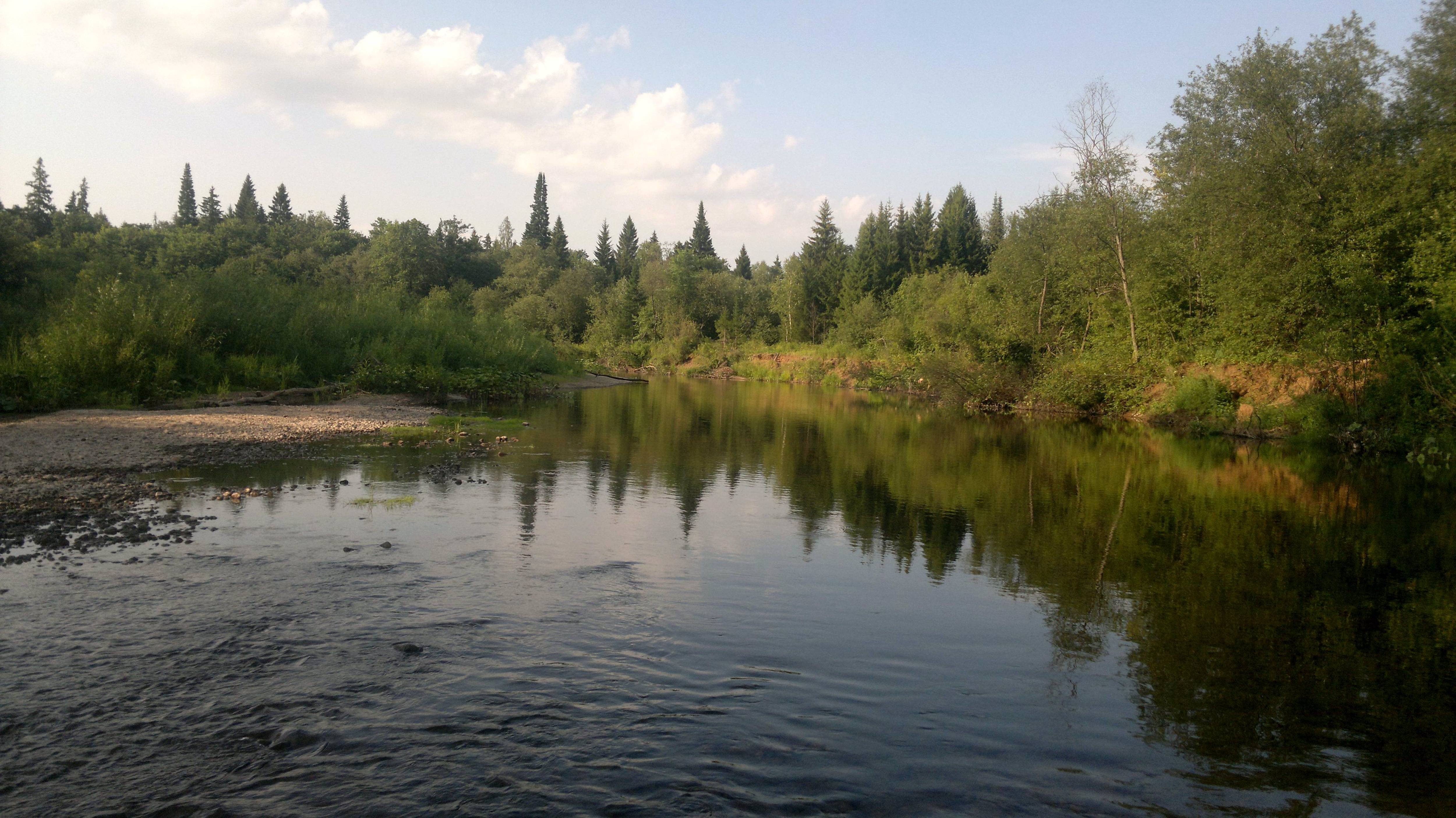 Рыба есть – ловить надо уметь!