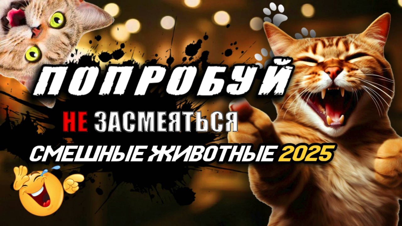 ПОПРОБУЙ НЕ ЗАСМЕЯТЬСЯ 😂 СМЕШНЫЕ ЖИВОТНЫЕ 2025 🐱 3 МИНУТЫ СМЕХА 😱 ЛУЧШИЕ ПРИКОЛЫ 2025 С КОТАМИ #7